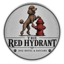 The Red Hydrant