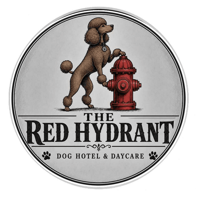 The Red Hydrant